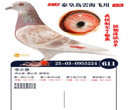 녺��ɴ�����611��