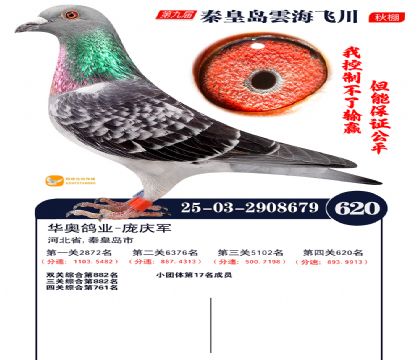 녺��ɴ�����620��