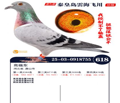 녺��ɴ�����618��