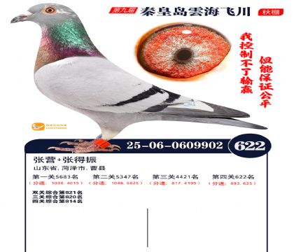 녺��ɴ�����622��