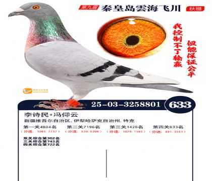 녺��ɴ�����633��