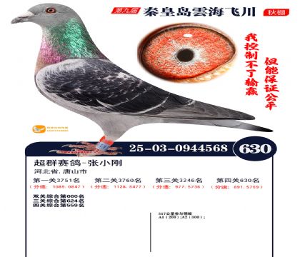 녺��ɴ�����630��