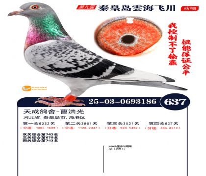 녺��ɴ�����637��