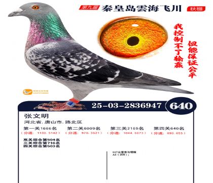 녺��ɴ�����640��