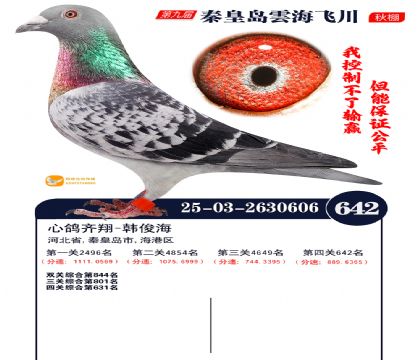 녺��ɴ�����642��