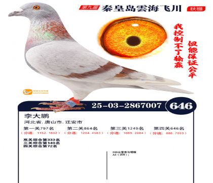 녺��ɴ�����646��