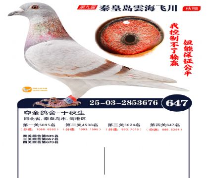 녺��ɴ�����647��