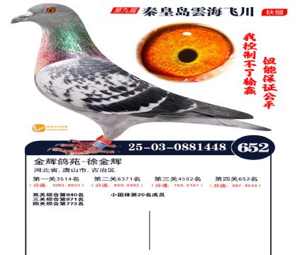 녺��ɴ�����652��