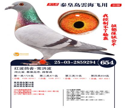 녺��ɴ�����654��