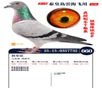 녺��ɴ�����660��