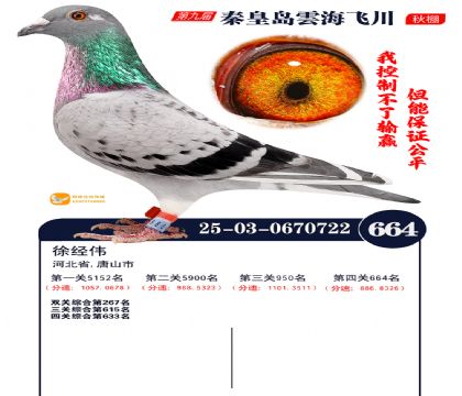 녺��ɴ�����664��