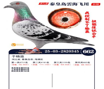 녺��ɴ�����662��