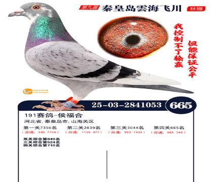 녺��ɴ�����665��