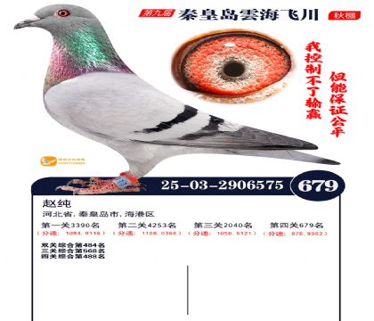 녺��ɴ�����679��