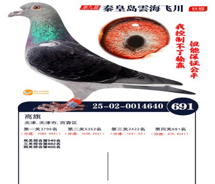 녺��ɴ�����691��