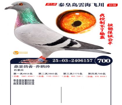 녺��ɴ�����700��