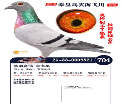 녺��ɴ�����704��