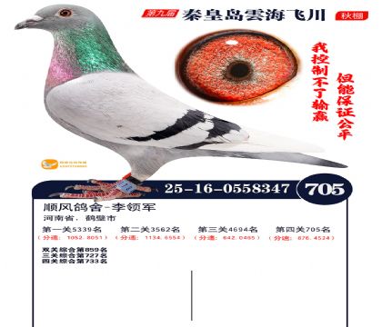 녺��ɴ�����705��