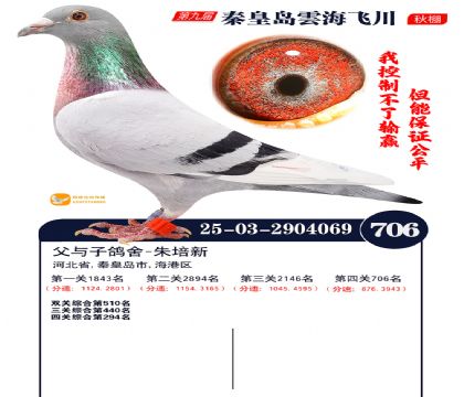 녺��ɴ�����706��