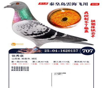 녺��ɴ�����707��