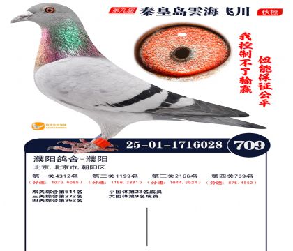 녺��ɴ�����709��