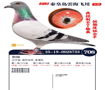 녺��ɴ�����708��