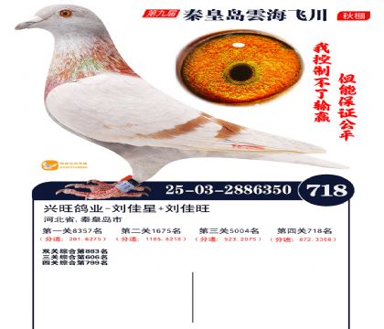 녺��ɴ�����718��