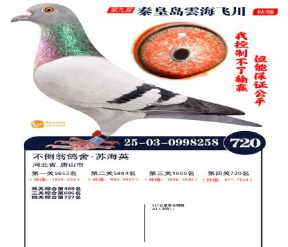 녺��ɴ�����720��