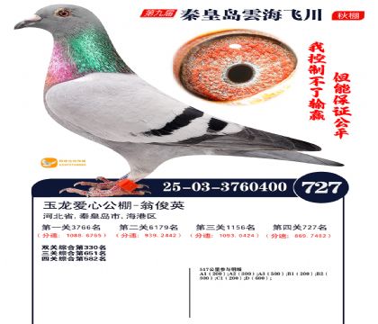 녺��ɴ�����727��