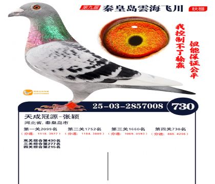 녺��ɴ�����730��