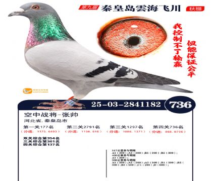 녺��ɴ�����736��