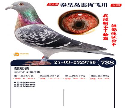 녺��ɴ�����738��