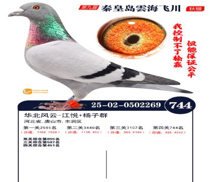 녺��ɴ�����744��