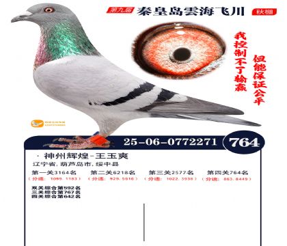 녺��ɴ�����764��