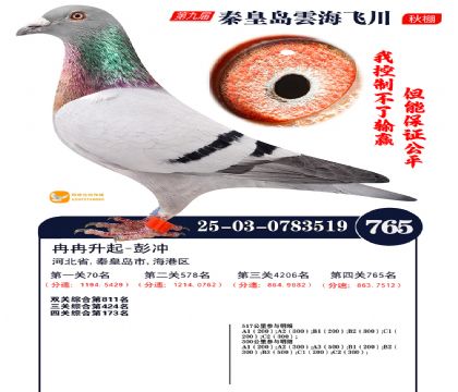 녺��ɴ�����765��