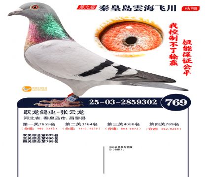 녺��ɴ�����769��