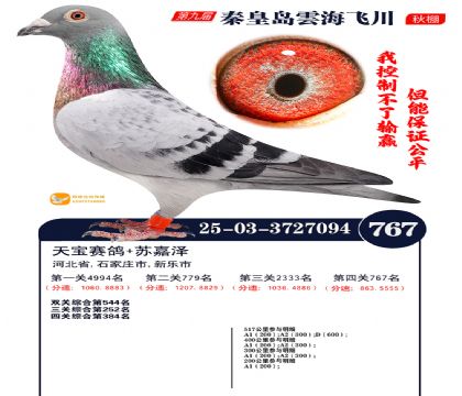 녺��ɴ�����767��