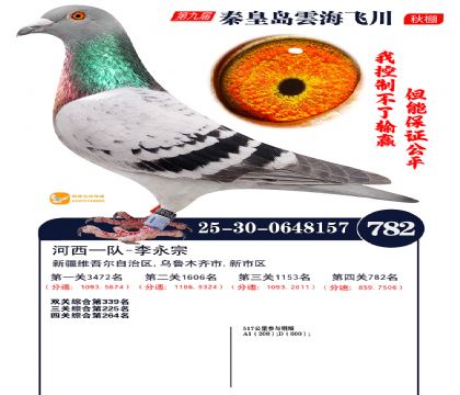 녺��ɴ�����782��