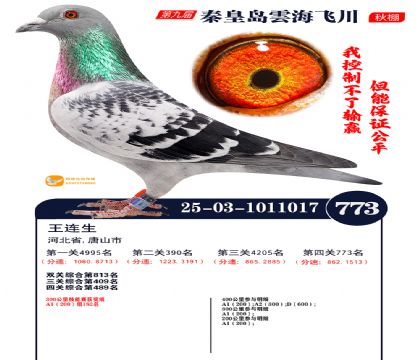 녺��ɴ�����773��