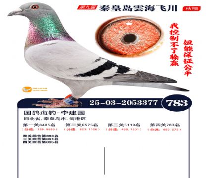 녺��ɴ�����783��