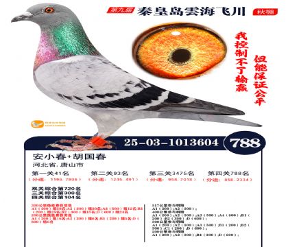 녺��ɴ�����788��