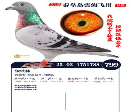 녺��ɴ�����799��