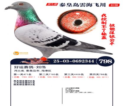 녺��ɴ�����798��