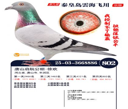 녺��ɴ�����802��