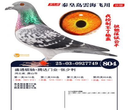 녺��ɴ�����804��