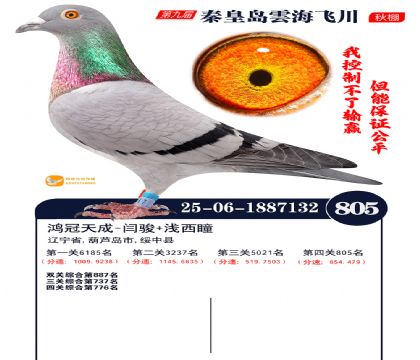 녺��ɴ�����805��