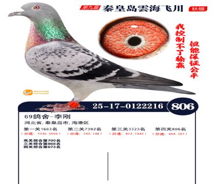 녺��ɴ�����806��