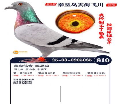 녺��ɴ�����810��