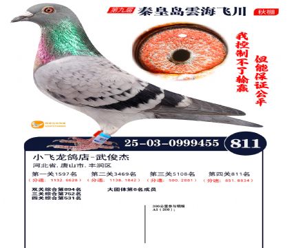 녺��ɴ�����811��