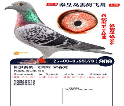 녺��ɴ�����809��